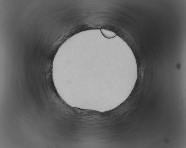X0000115791012200912241827