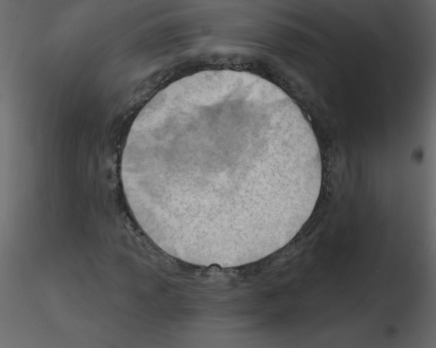 X0000115791013200912241827