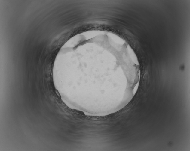 X0000115791014200912241827