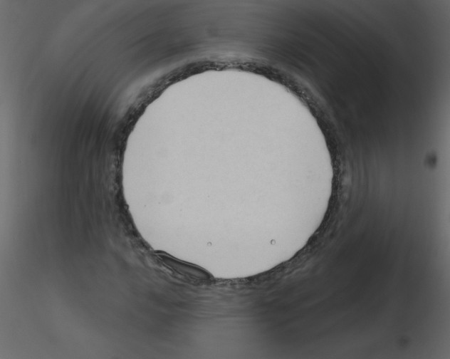 X0000115791016200912241827