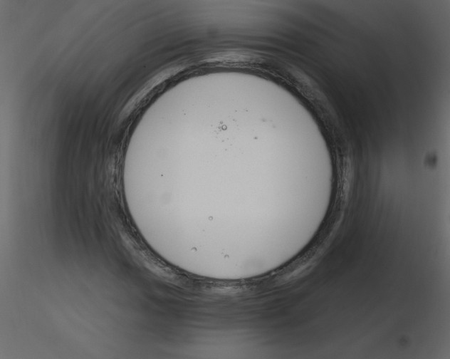 X0000115791017200912241827