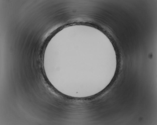 X0000115791018200912241827