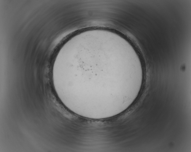 X0000115791019200912241827