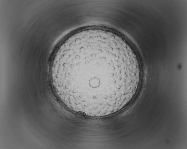 X0000115791021200912241827