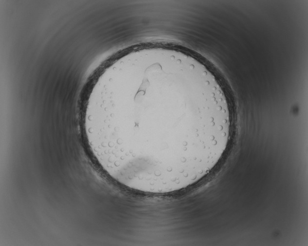 X0000115791022200912241827