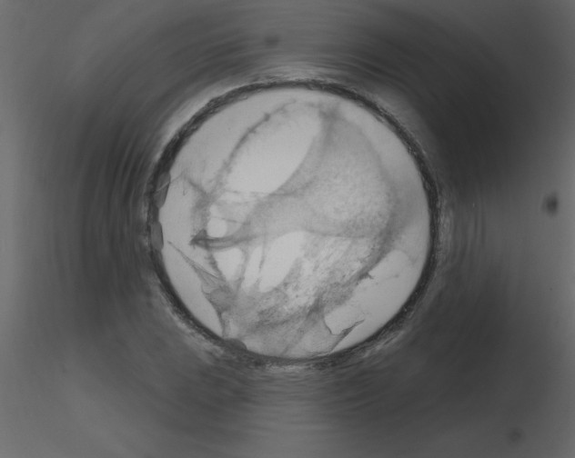 X0000115791023200912241827
