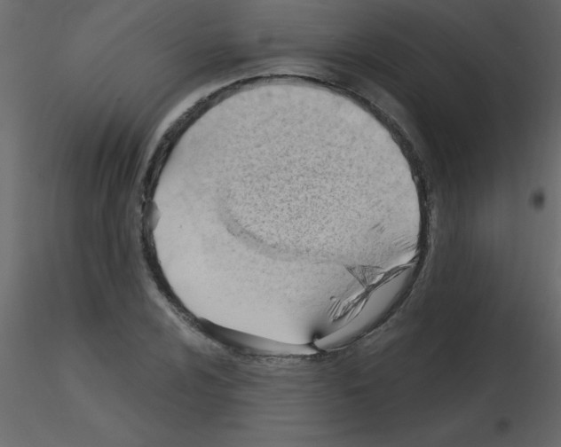 X0000115791024200912241827