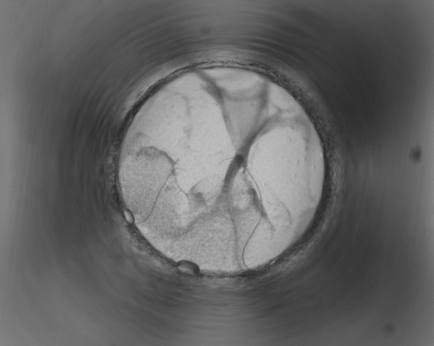 X0000115791025200912241827