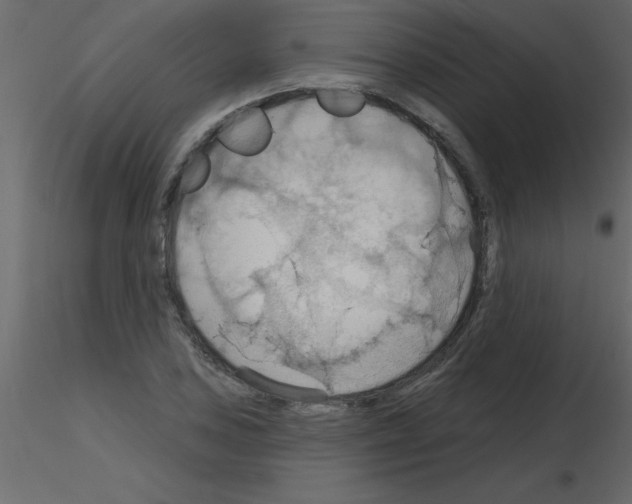 X0000115791027200912241827