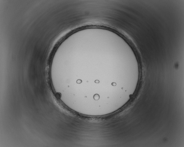 X0000115791029200912241827