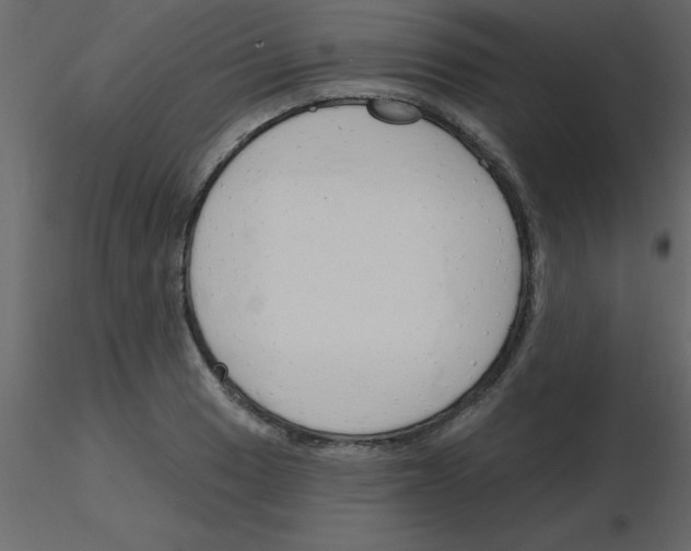 X0000115791033200912241827