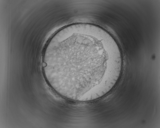 X0000115791035200912241827