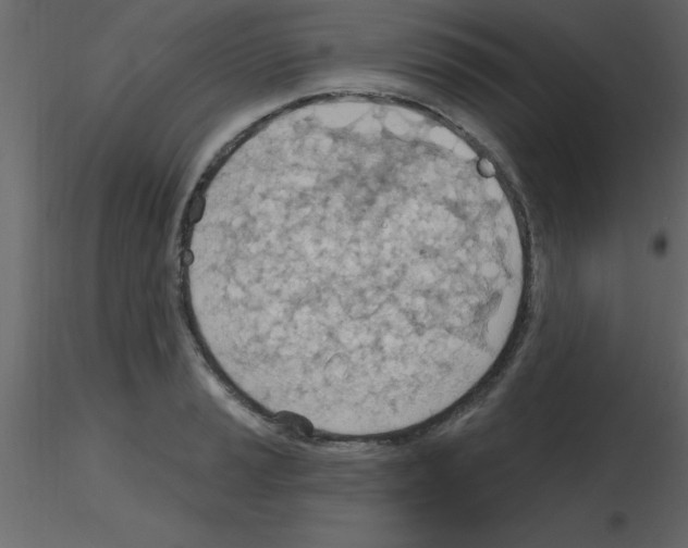 X0000115791037200912241827