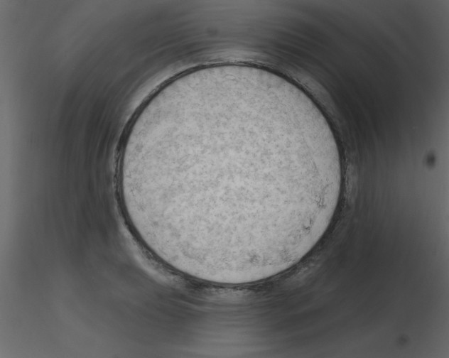 X0000115791039200912241827