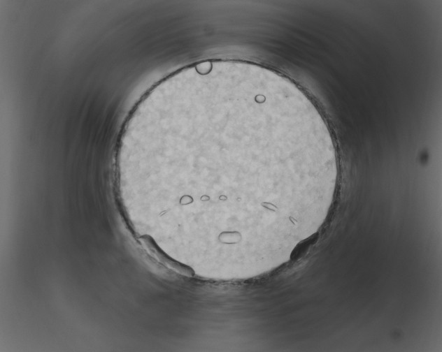 X0000115791040200912241827