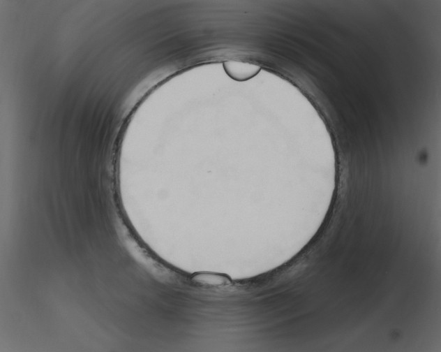 X0000115791042200912241827