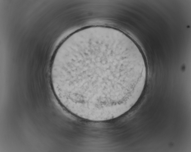 X0000115791045200912241827