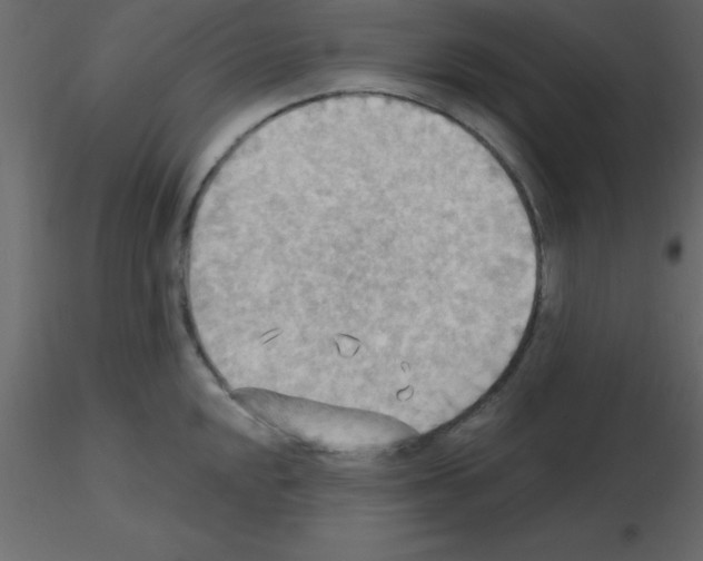 X0000115791048200912241827