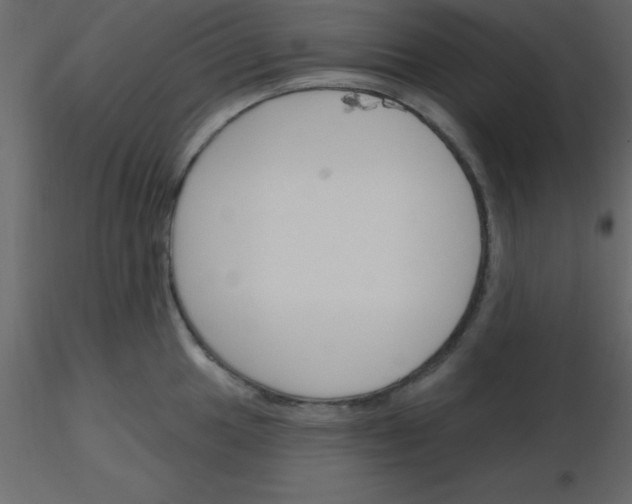 X0000115791049200912241827