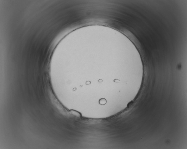X0000115791052200912241827