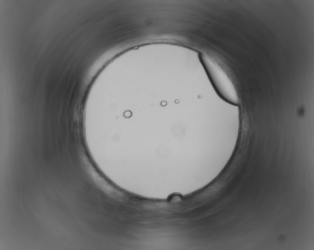 X0000115791054200912241827
