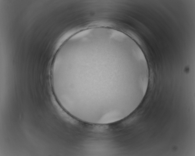 X0000115791055200912241827
