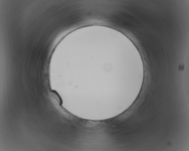 X0000115791056200912241827