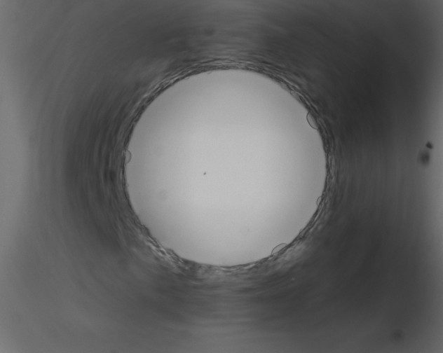 X0000115791057200912241827