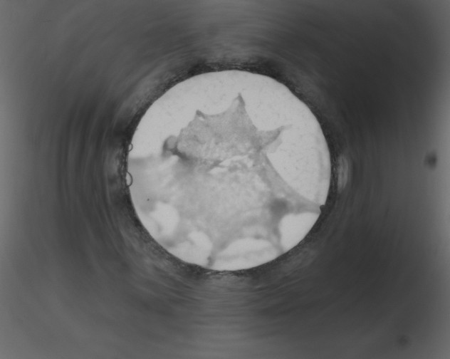 X0000115791059200912241827