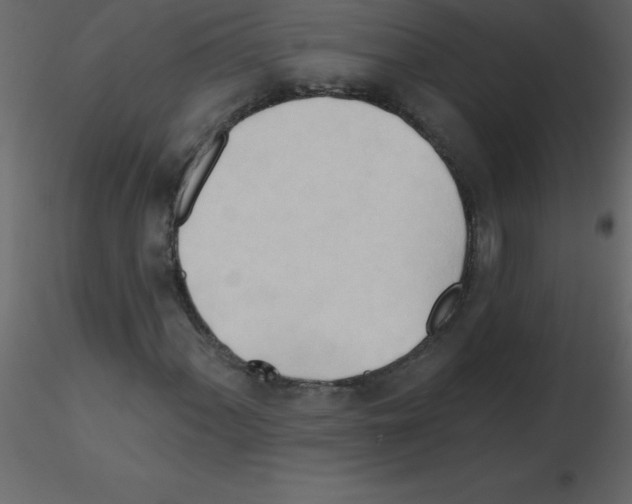 X0000115791060200912241827