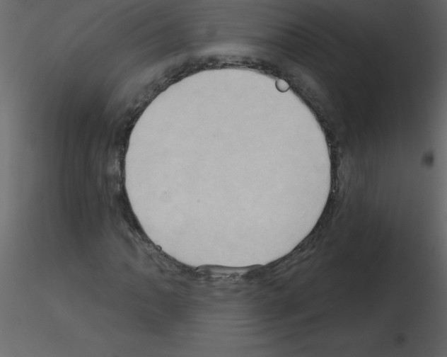 X0000115791062200912241827