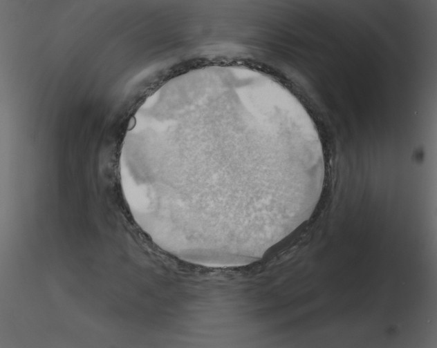 X0000115791063200912241827