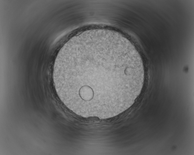 X0000115791064200912241827