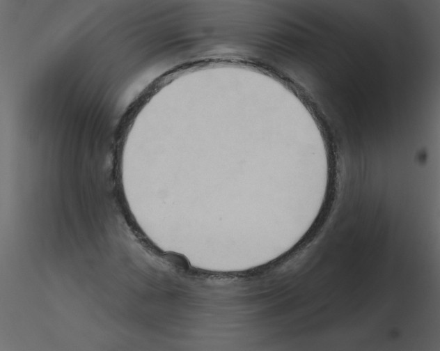 X0000115791066200912241827