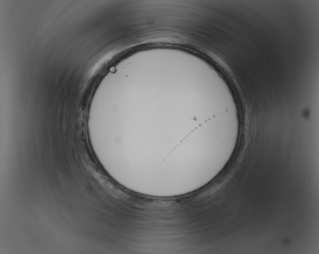 X0000115791067200912241827