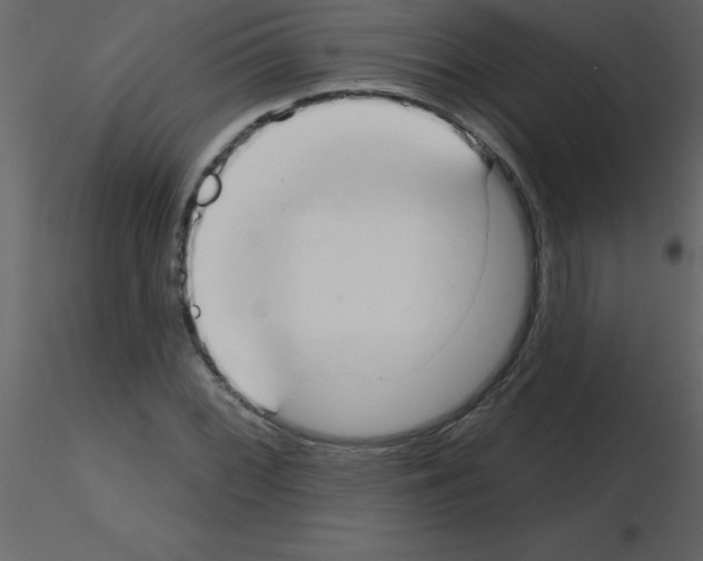 X0000115791068200912241827