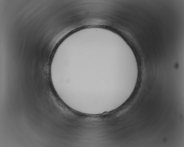 X0000115791073200912241827