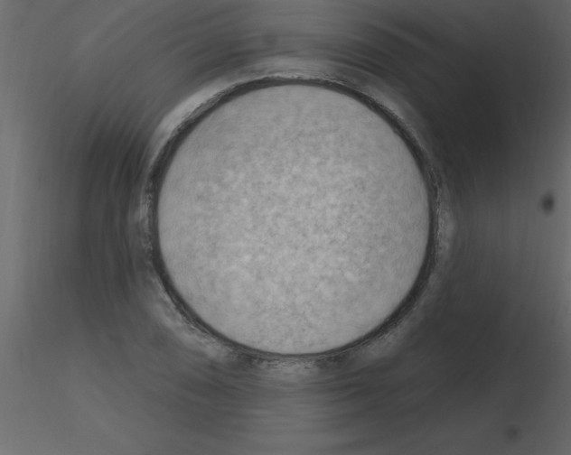 X0000115791074200912241827