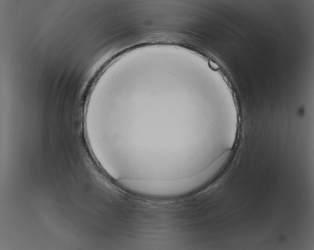 X0000115791075200912241827
