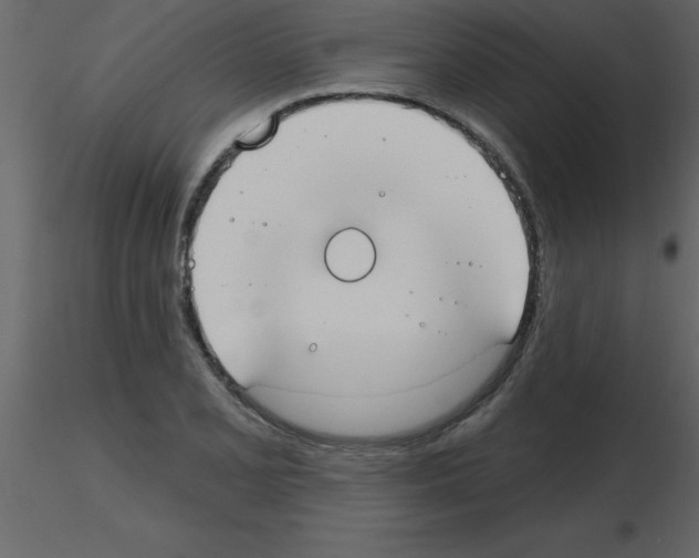 X0000115791077200912241827