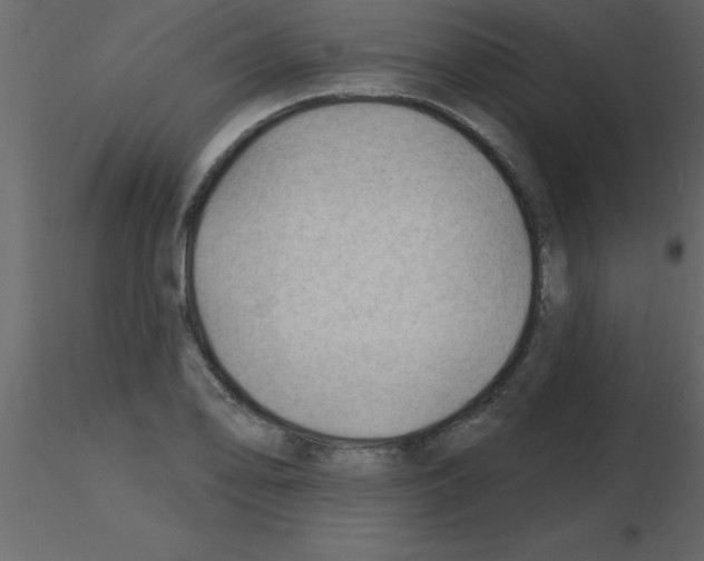 X0000115791078200912241827
