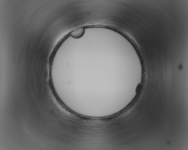 X0000115791079200912241827