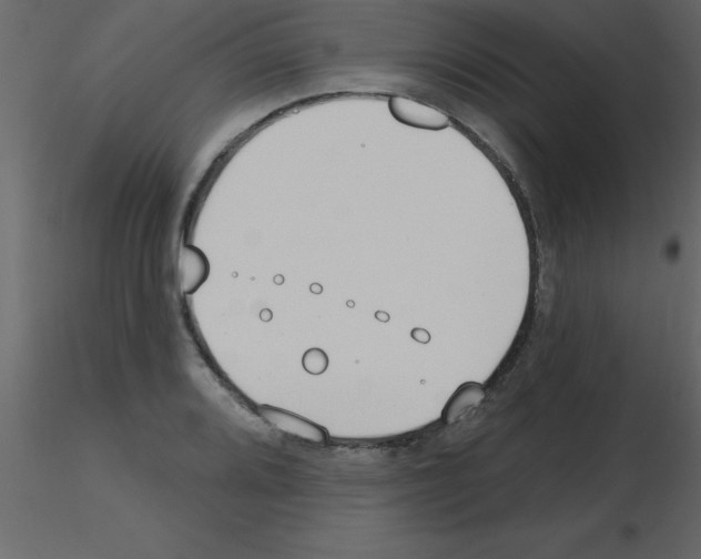 X0000115791080200912241826
