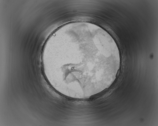 X0000115791083200912241826