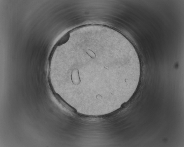 X0000115791084200912241826