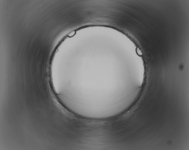 X0000115791085200912241826