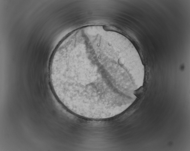 X0000115791087200912241826