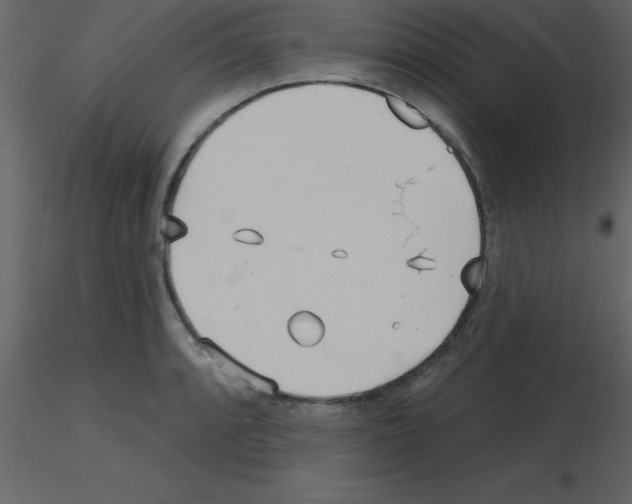 X0000115791088200912241826