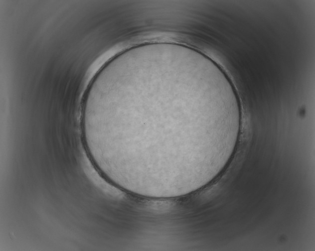 X0000115791090200912241826
