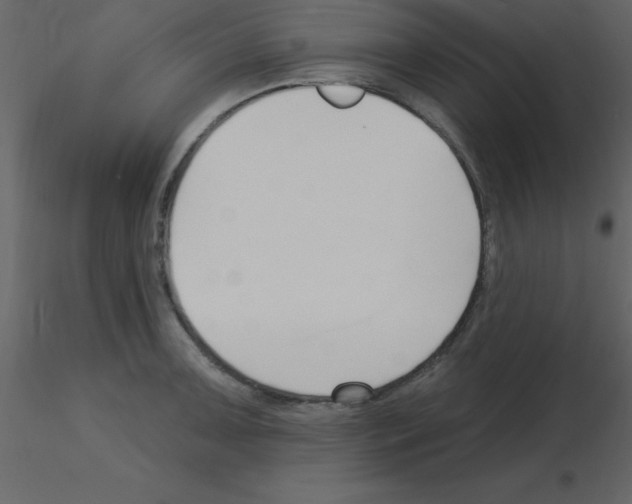 X0000115791091200912241826